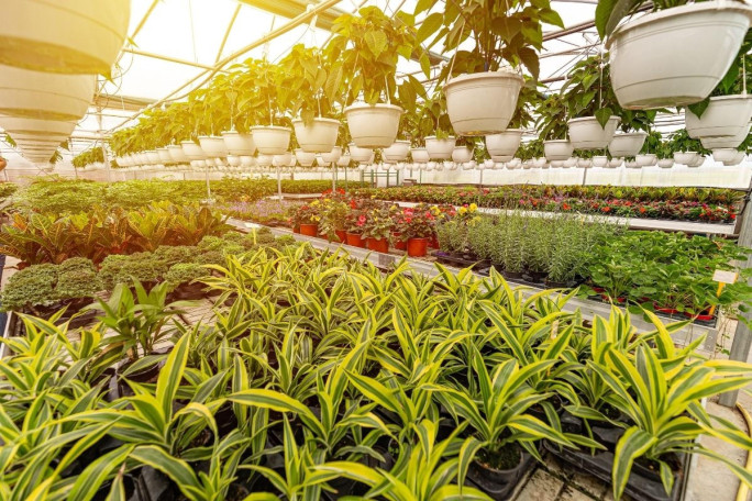 Horticulture, Nursery and Agriculture Business Opportunity for Sale Brisbane 