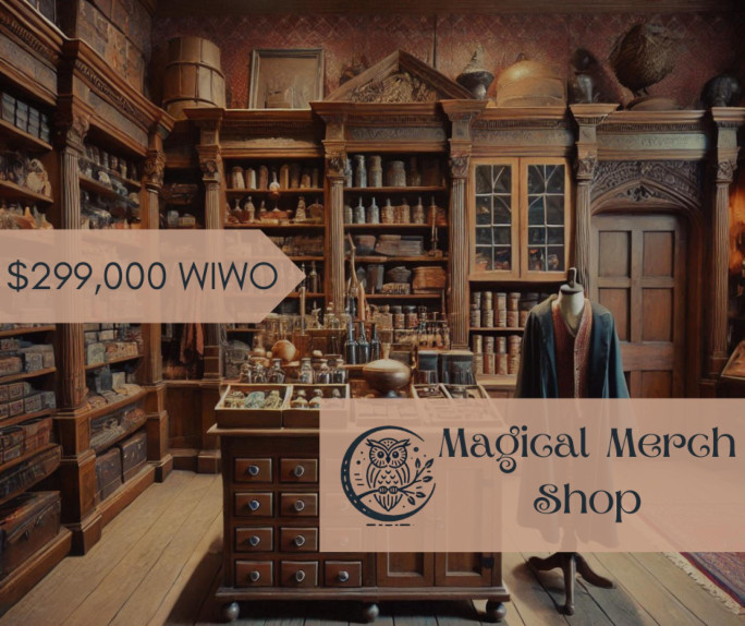 Magic Themed Merchandise Shop Business for Sale Brisbane 