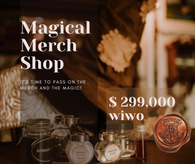 Magic Themed Merchandise Shop Business for Sale Brisbane 