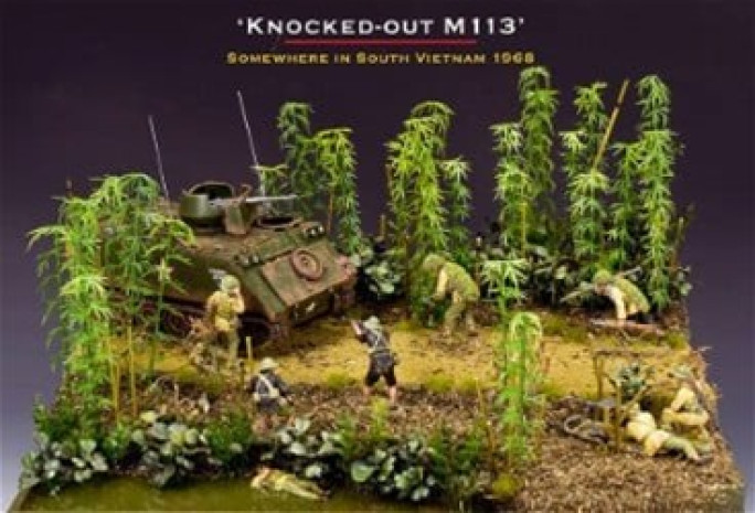 Premier Collectables Business for Sale Brisbane 