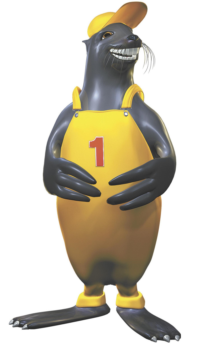 Roof Seal Master Business for Sale Darwin