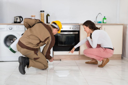 Dynamic Pest Control Business for Sale Gold Coast QLD