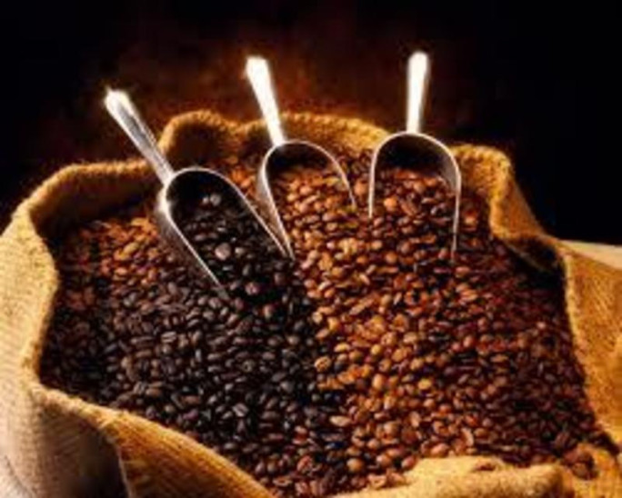 Fully Licensed Cafe Restaurant for Sale Melbourne Fully Licensed Cafe Restaurant for Sale Melbourne