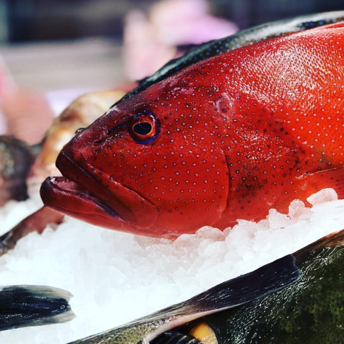 Retail Seafood Business for Sale Melbourne 
