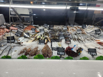 Retail Fish Shop Business for Sale Melbourne