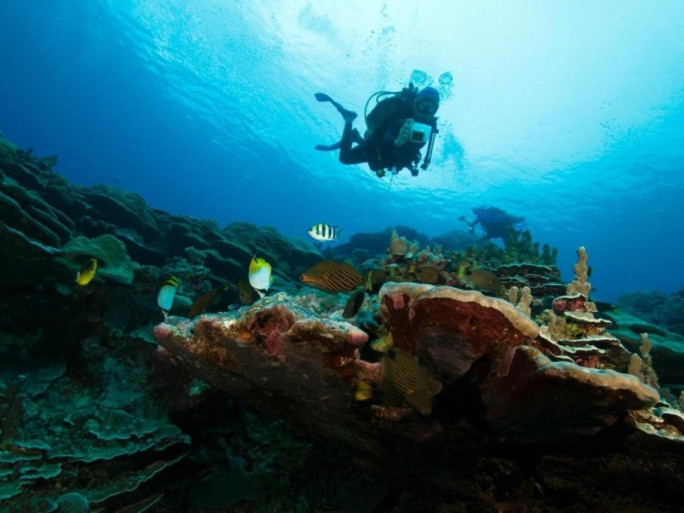 Professional Scuba Retail Business for Sale Melbourne