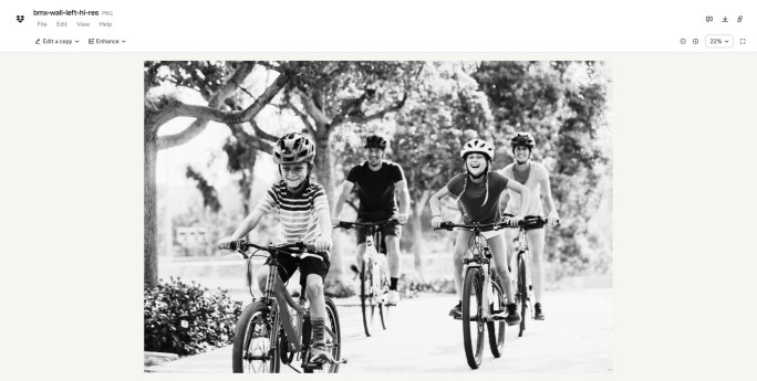 Thriving Bicycle Store Business for Sale Melbourne