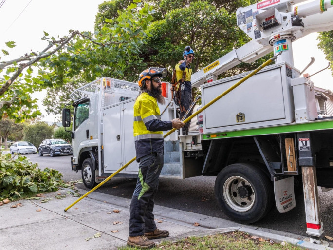 Vegetation Maintenance Business for Sale Melbourne 