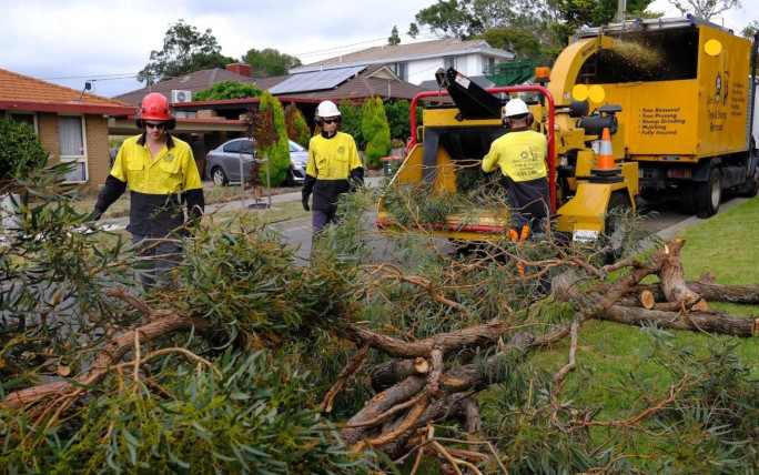 Jims Tree Lopping Business for Sale Melbourne Jims Tree Lopping Business for Sale Melbourne