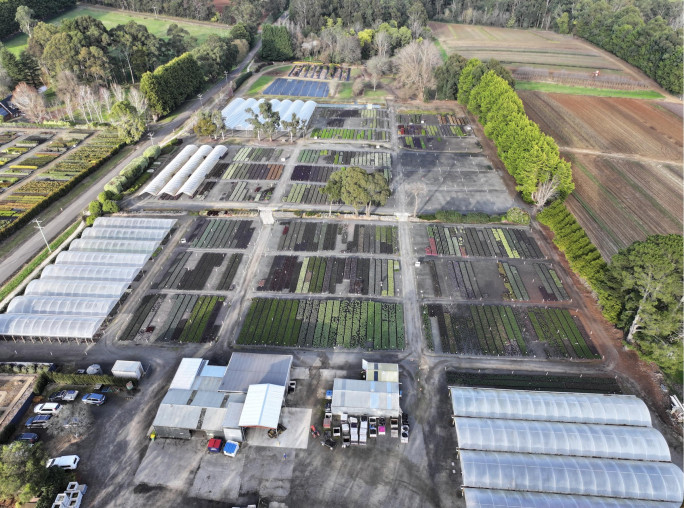 Wholesale Production Nursery Business for Sale Melbourne