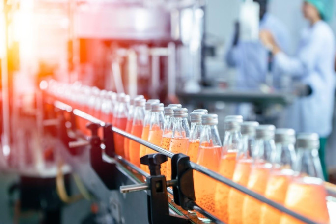 E-Commerce Beverage Production Business for Sale Tea Gardens