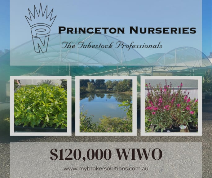 Plant Nursery Business for Sale NSW Plant Nursery Business for Sale NSW