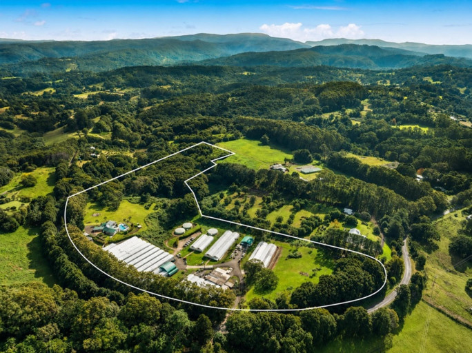 Established Wholesale Nursery Business for Sale Byron bay