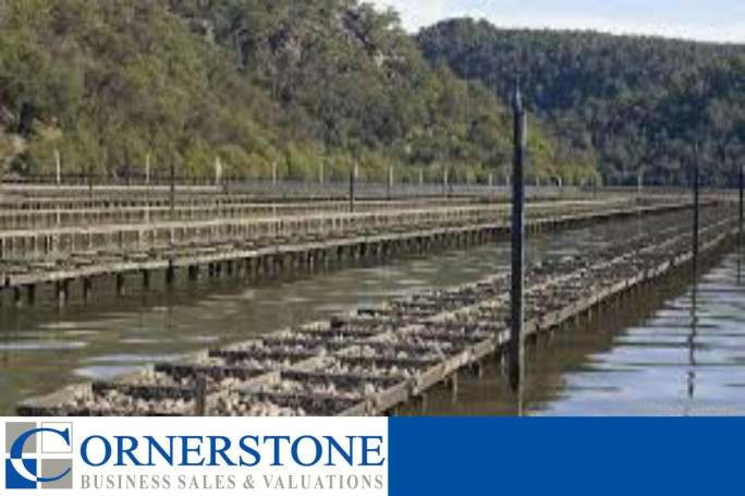 Oyster Farm Business for Sale NSW
