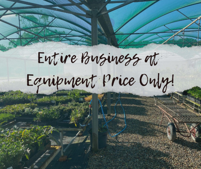 Plant Nursery Business for Sale Central Coast NSW Plant Nursery Business for Sale Central Coast NSW