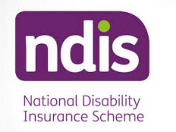 Disability Support Business for Sale Newcastle 