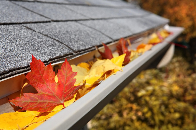 Gutter Cleaning Business for Sale Newcastle 