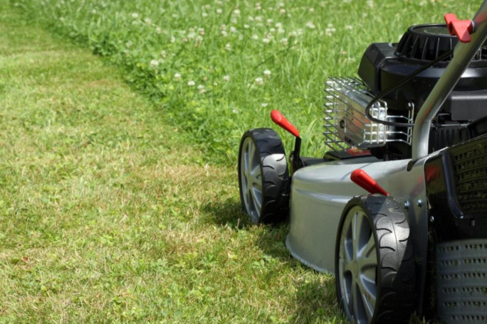 Property Cleaning & Garden Maintenance Business for Sale Newcastle NSW