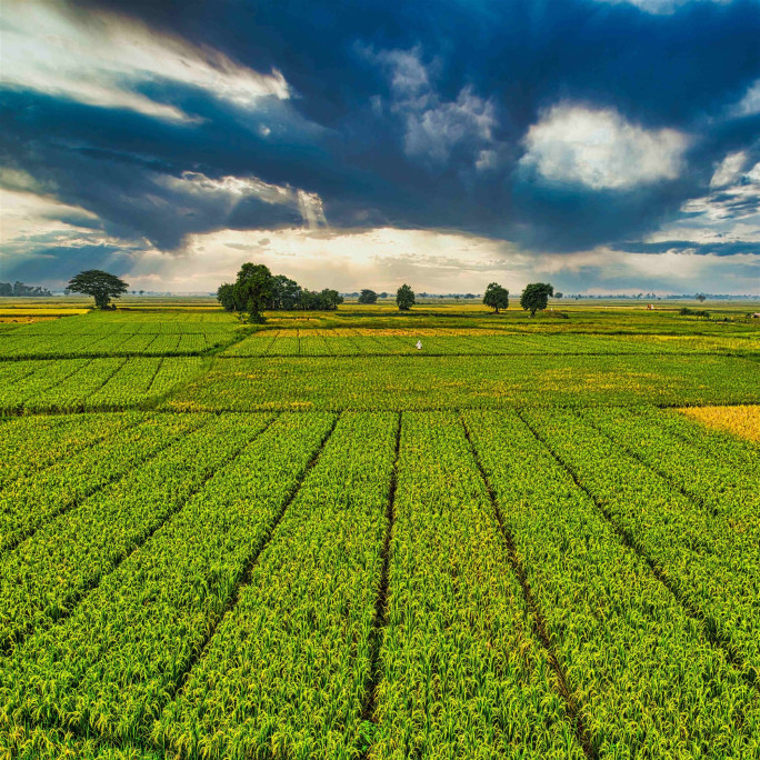 Farm Machinery Manufacturing Business for Sale Queensland
