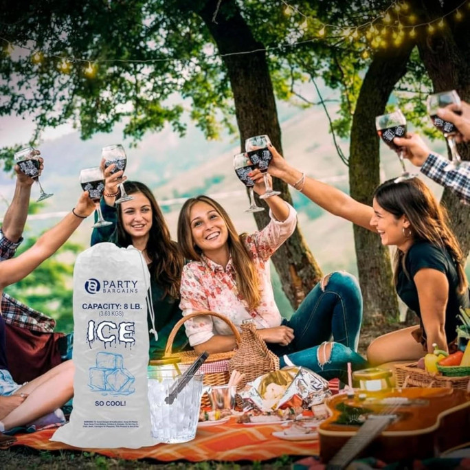 Ice Processing and Distribution Business for Sale Fraser Coast QLD