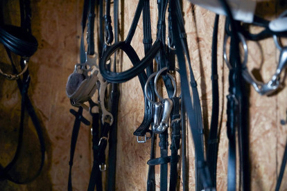 Equestrian Supply Business for Sale Queensland