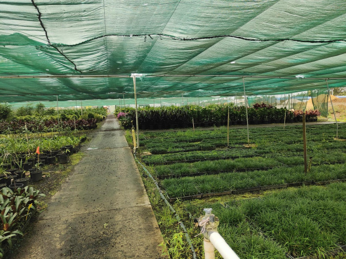 Freehold Nursery & Spa Supply Business for Sale Bundaberg 