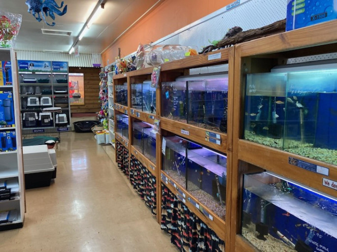 Pet Shop Business for Sale Gympie QLD