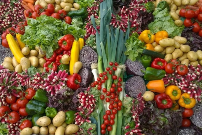 Fruit & Veg & More Business for Sale North East Suburb
