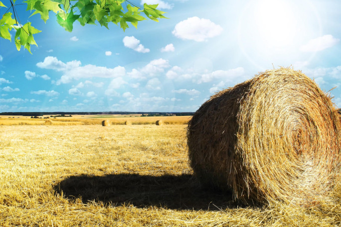 Iconic Rural Superstores Business for Sale Queensland