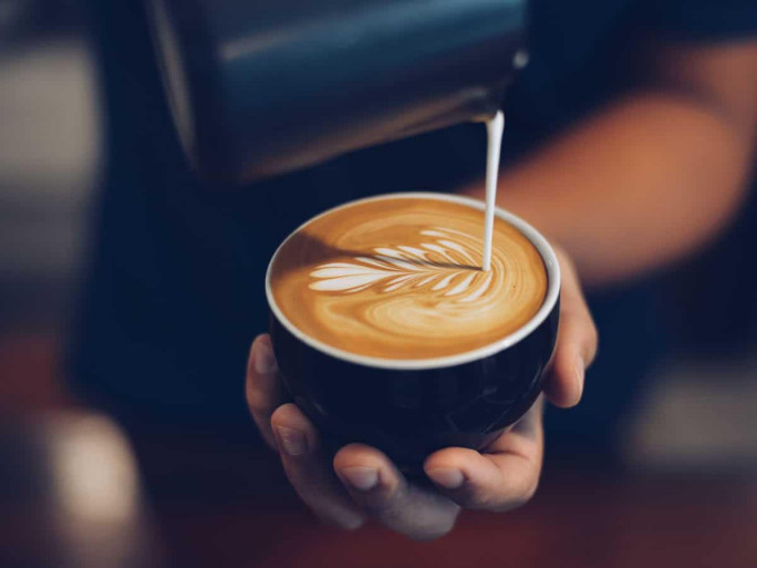 Cafe and Restaurant for Sale Sydney 