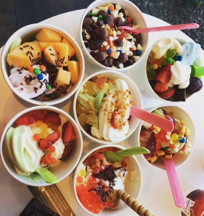 Frozen Yogurt Franchise for Sale Sydney