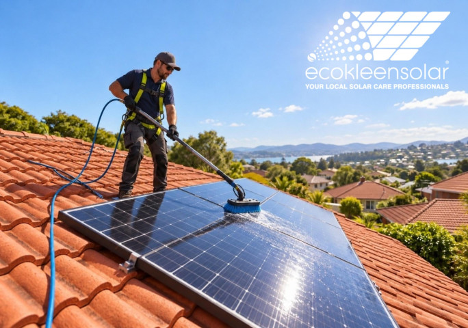 Solar Panel Cleaning Franchise for Sale Sydney 