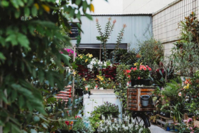 Boutique Plant & Giftware  Business for Sale Sydney