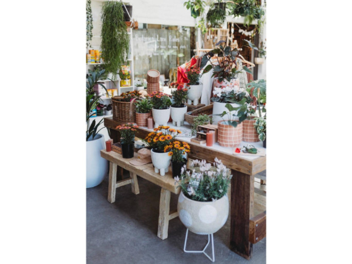 Boutique Plant & Giftware  Business for Sale Sydney
