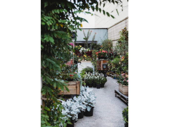 Boutique Plant & Giftware  Business for Sale Sydney 