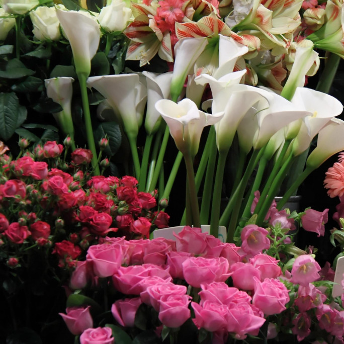 Florist Business for Sale Sydney