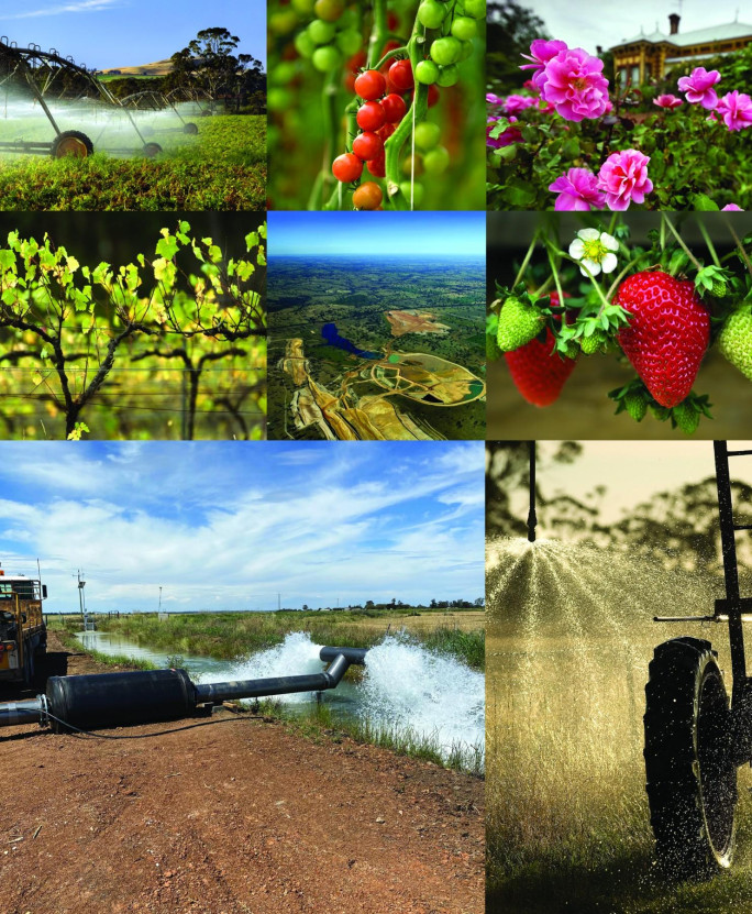 Eco Tech Business for Sale Sydney Eco Tech Business for Sale Sydney