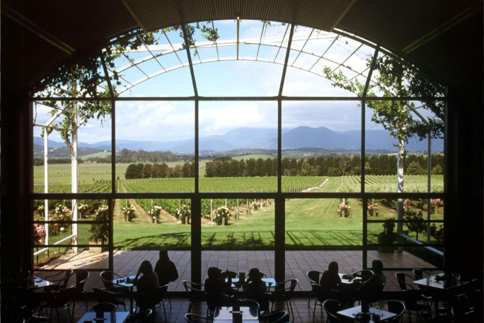 Vineyard & Winery Business for Sale Tasmania Vineyard & Winery Business for Sale Tasmania