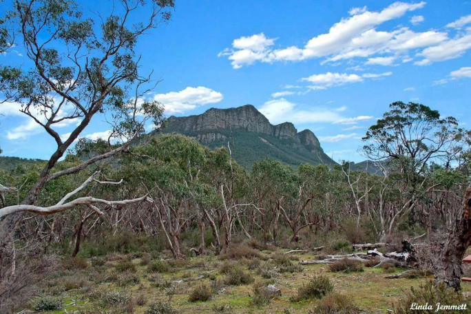 Group Acommodation Business for Sale Dunkeld VIC