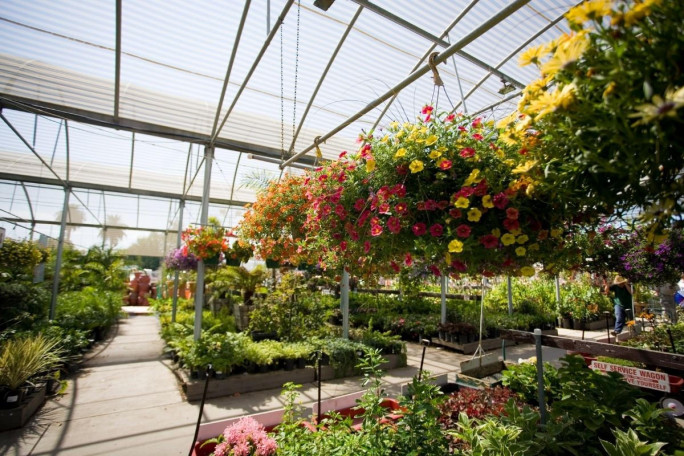 Wholesale & Retail Nursery Business for Sale VIC