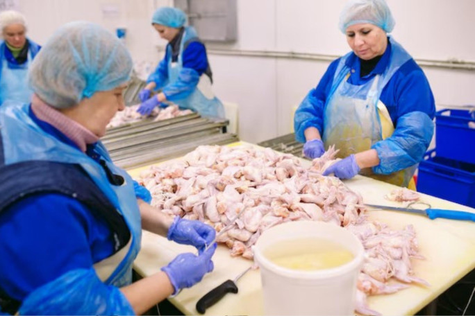 Meat Processing & Distribution Business for Sale Victoria