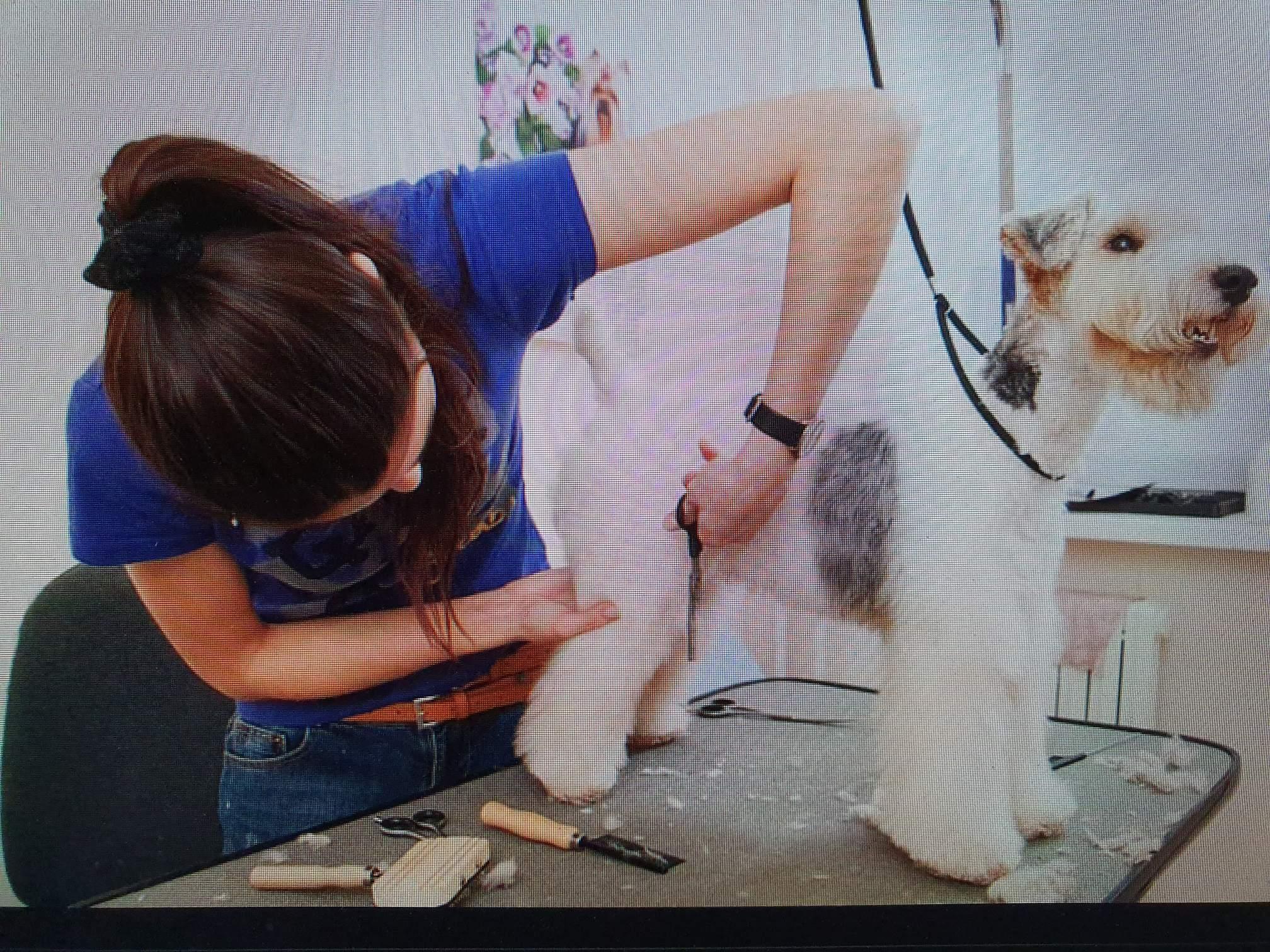 Dog Grooming Business for Sale Essendon Melbourne Asking 145,000 AU